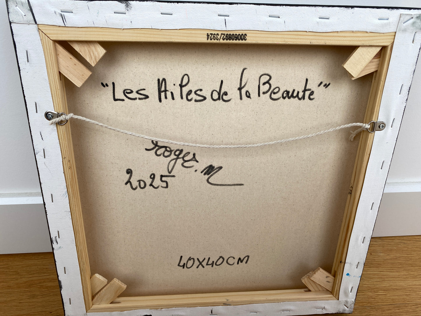 Les Ailes de la Beauté - 40 x 40 cm